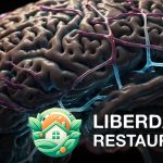 Efeitos das substâncias psicoativas no cérebro: entenda como elas mudam seu comportamento Efeitos das substâncias psicoativas no cérebro: entenda como elas mudam seu comportamento